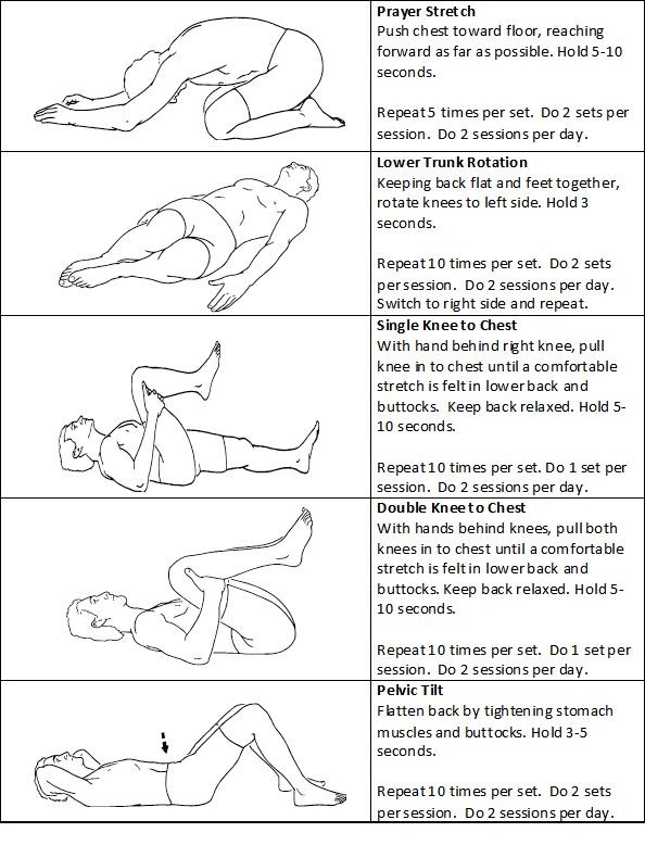 lower back muscle strain stretches